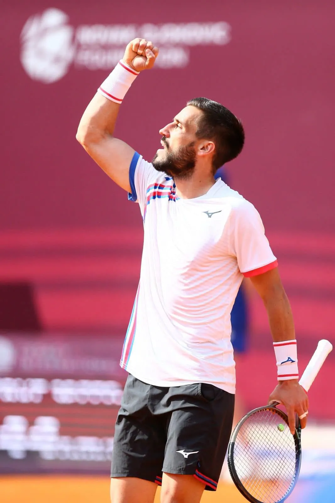 Damir Džumhur Freundin